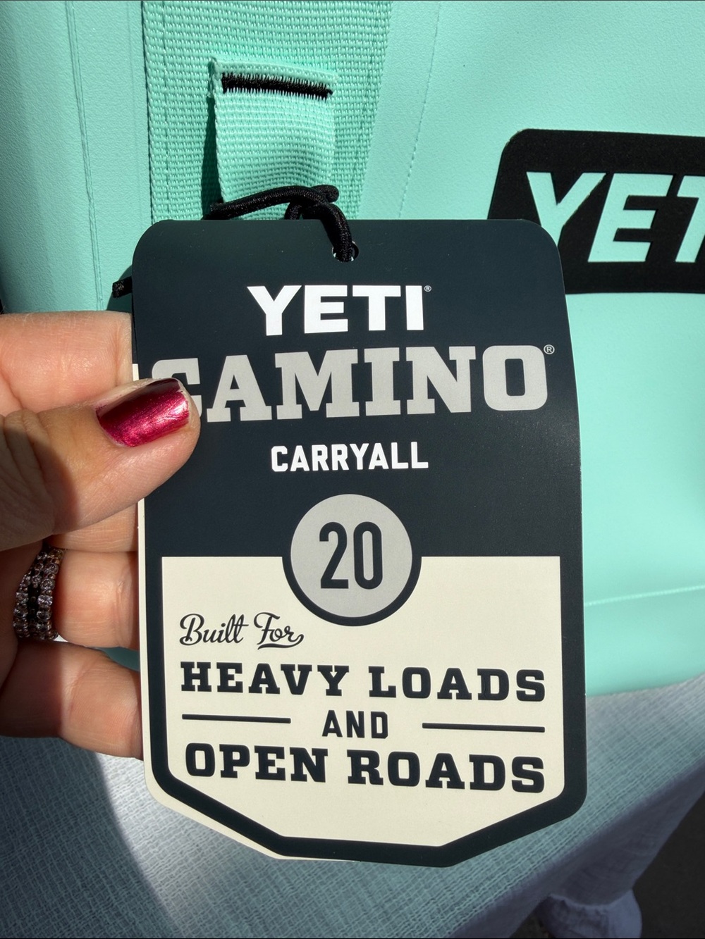 YETI Camino 20 Carryall Tote Bag Limited Edition, Seafoam, New With Tags - Picture 9 of 14